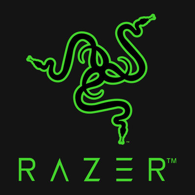 Razer Laptop